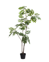 Artificial Feathery Leaf Tree Plant 150cm (5ft)